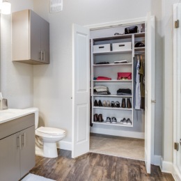 organized, walk-in closet in bathroom